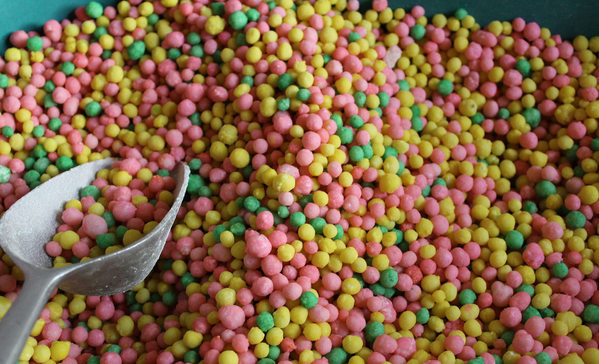Un siècle de tradition sucrée à Quito